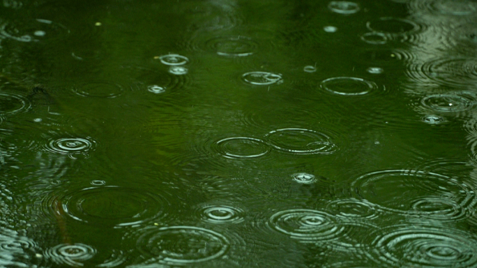 雨水惊蛰谷雨立春意境屋檐雨滴滴水中式