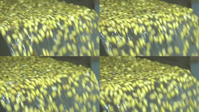 豆制品加工 豆浆 豆腐 豆皮