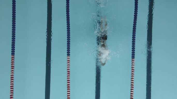 游泳运动员跳入游泳池蝶泳体育比赛努力