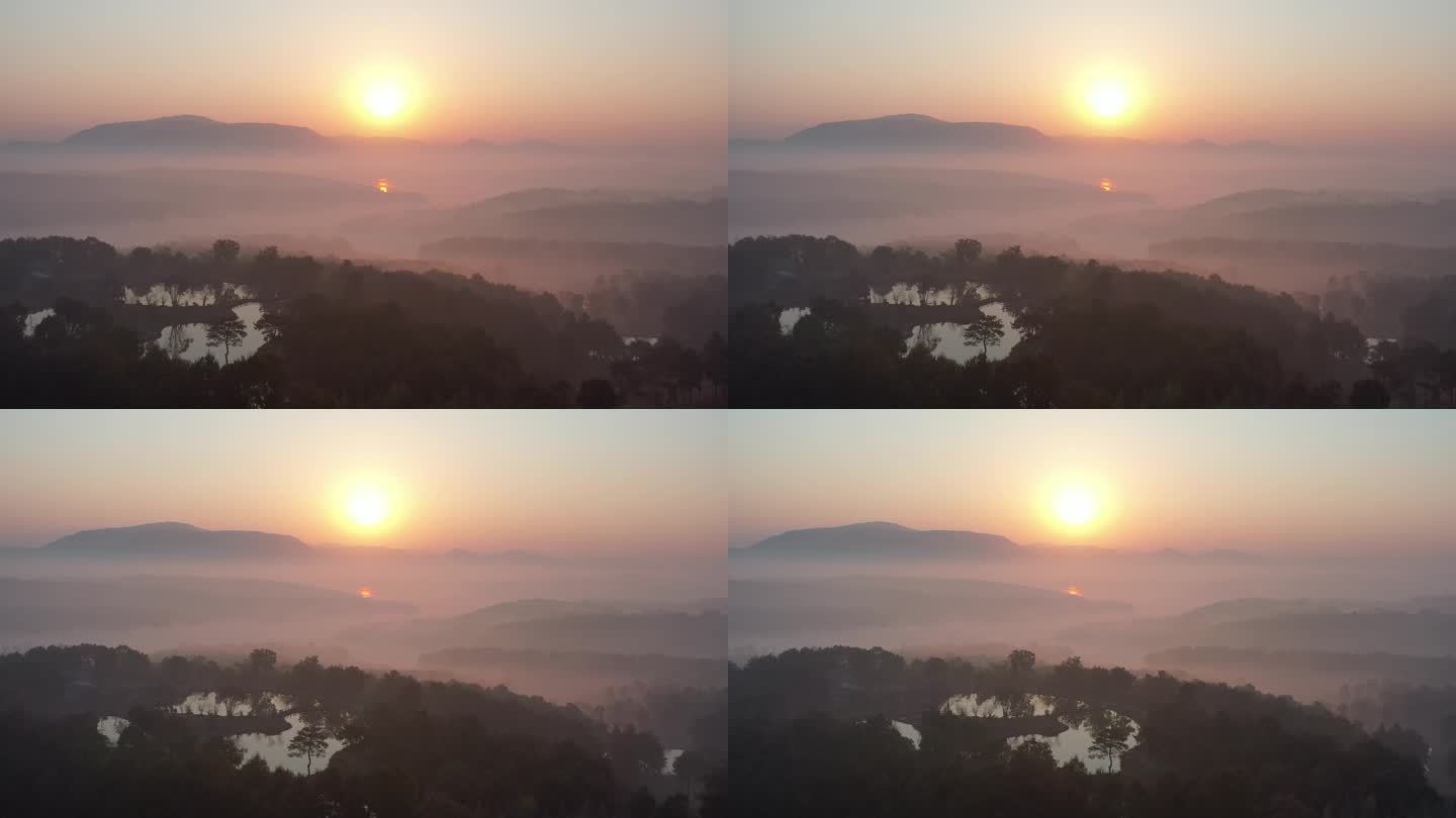 荆门万紫千红植物园  日出 大山 山水