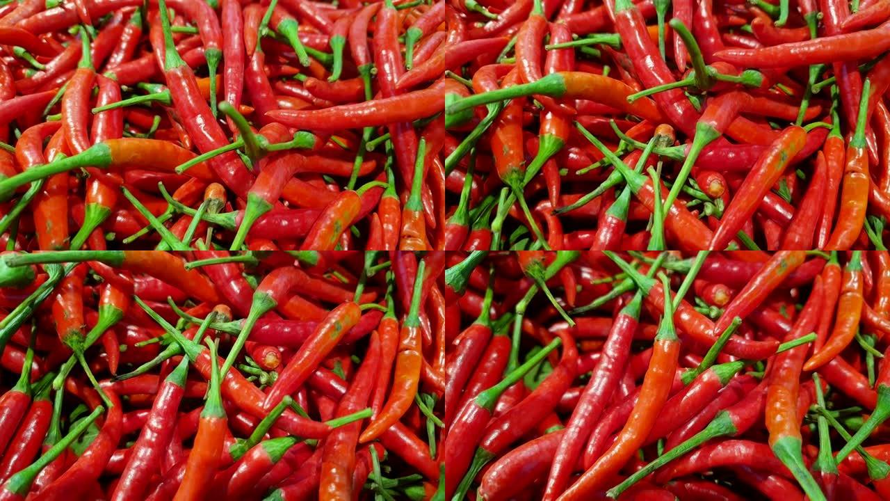 红辣椒背景纹理视频素材水果调味品烹饪方式