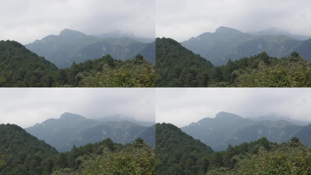 奥林巴斯迷雾景观4k视频上的慢速倾斜