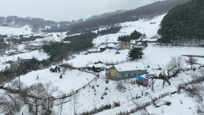 原创吉林白山临江市松岭雪村雪景风光航拍