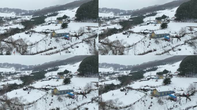 原创吉林白山临江市松岭雪村雪景风光航拍