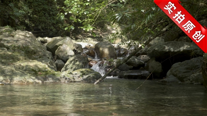 林间山泉溪水小河水流水滴水面落叶枯木小鱼