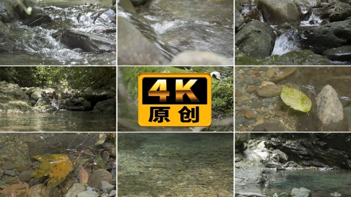 林间山泉溪水小河水流水滴水面落叶枯木小鱼