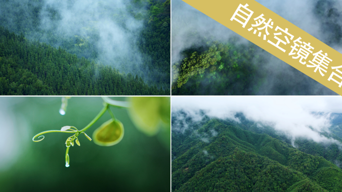 4k大自然航拍青山下雨森林山泉水自然风景