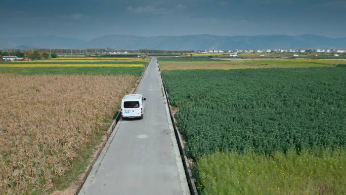 云南旅游风光大理成片田野花田笔直小路