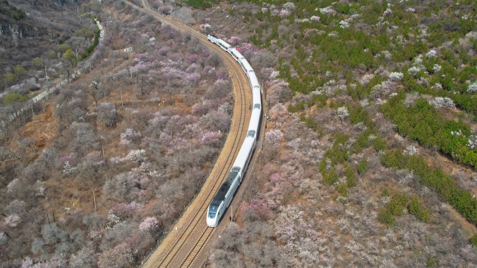 4K航拍居庸关长城花海列车