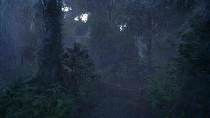 雨中森林