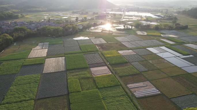 4K美丽乡村乡村振兴建设航拍