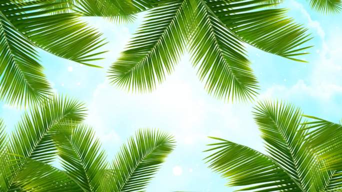 天幕椰子树