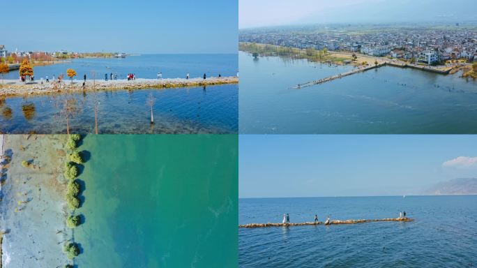 大理洱海风光洱海游船游客才村码头4k航拍