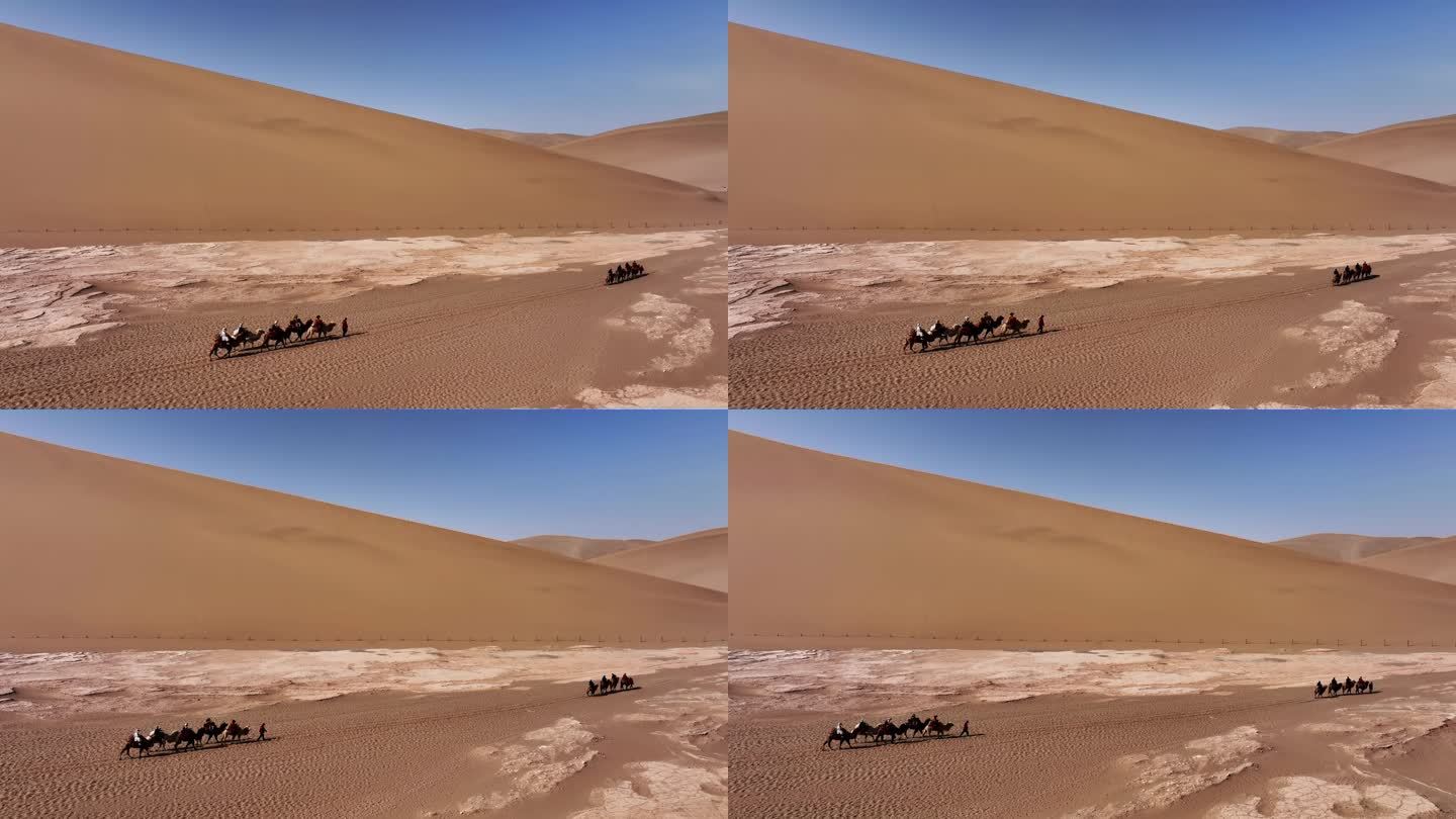 骆驼航拍