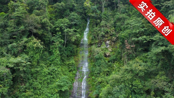 高山原始森林野生瀑布