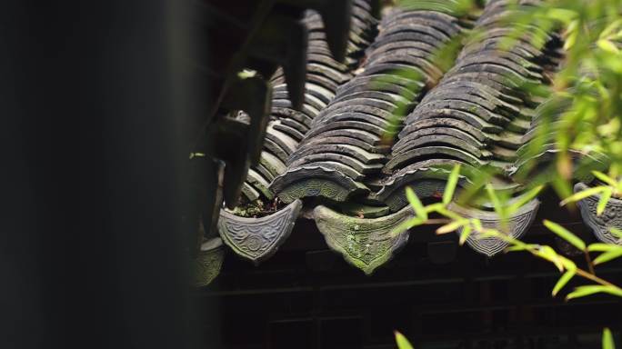 【正版素材】古建筑屋檐下雨意境