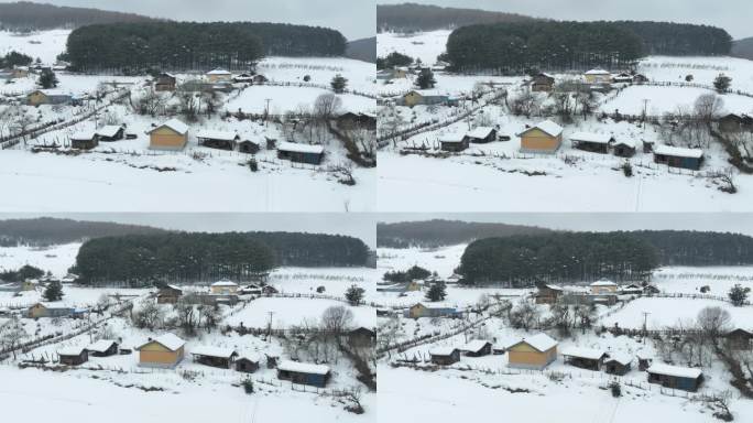 原创吉林白山临江市松岭雪村雪景风光航拍