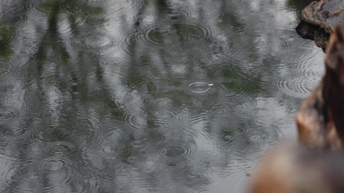 【正版素材】自然雨景水滴唯美水波纹