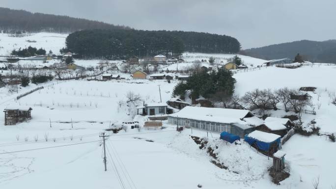 原创吉林白山临江市松岭雪村雪景风光航拍