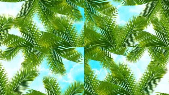 天幕椰子树