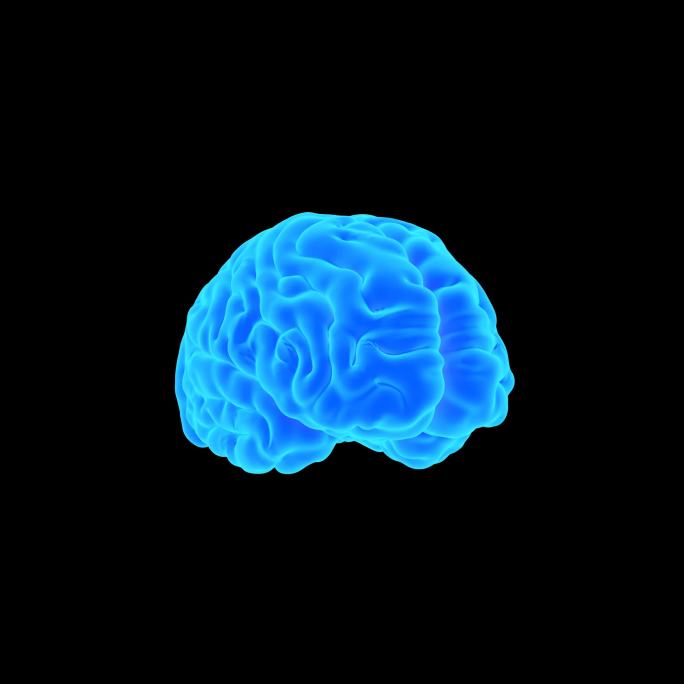 3款科技感大脑人脑点线粒子蓝色脑波旋转