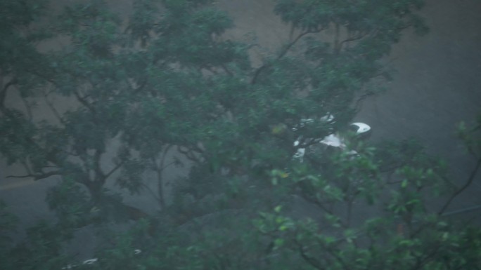 暴风雨中骑行