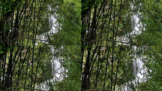 竹林掩映下的瀑布