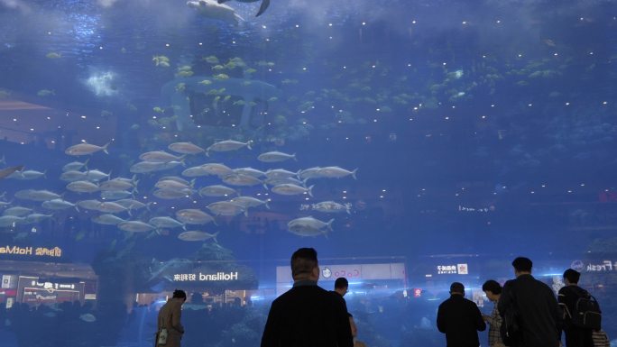 海洋馆 水族馆实拍