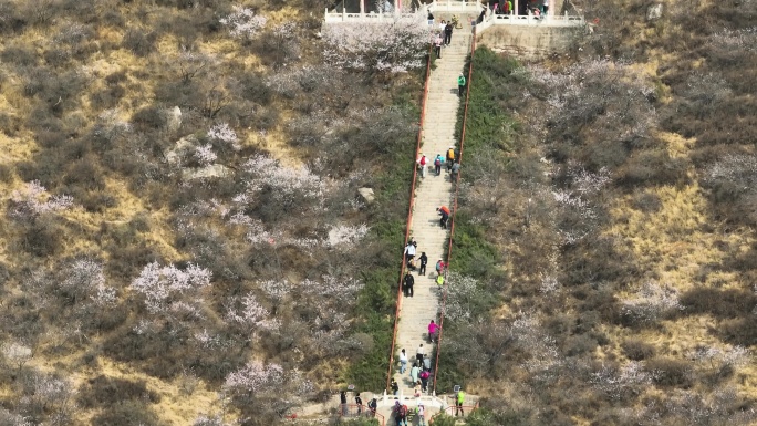 山西大同灵丘龙泉寺春天航拍