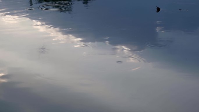 下雨天雨滴落在水面