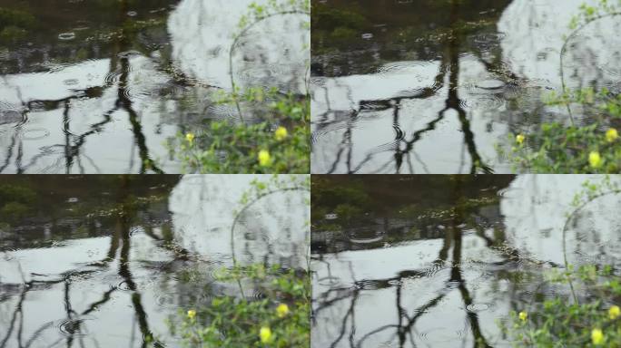 【正版素材】自然雨景水滴唯美水波纹