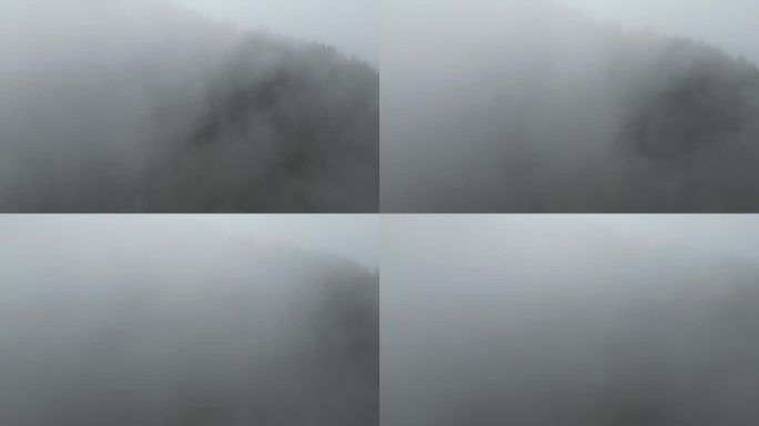 森林起雾航拍 -12 D-log