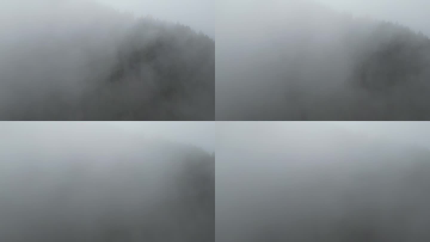 森林起雾航拍 -12 D-log