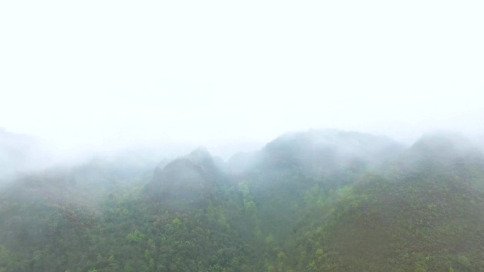 大山晨雾