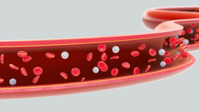 血管剖视红细胞白细胞次氯酸4K视频