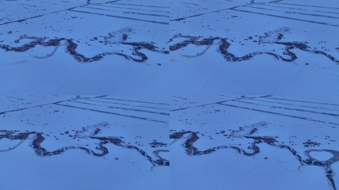 湿地雪野河流灌木龙飞蛇舞