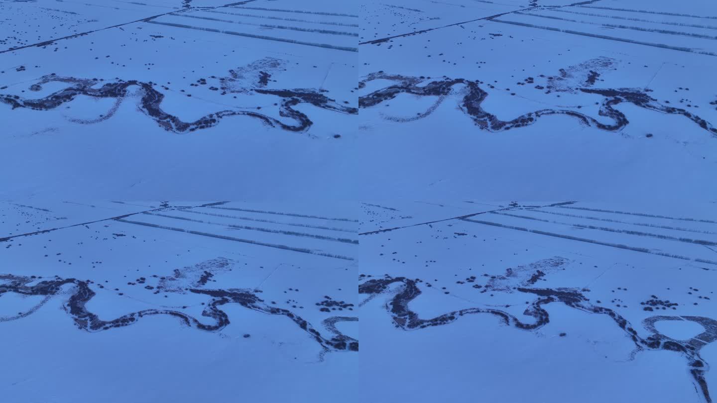 湿地雪野河流灌木龙飞蛇舞