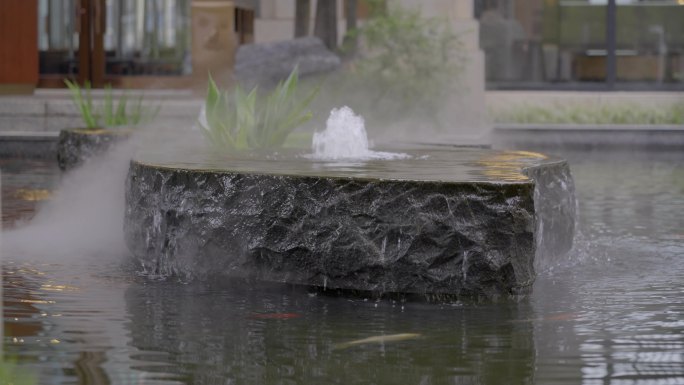 广东龙门南昆山温泉度假锦鲤金鱼