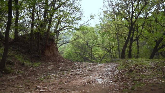 老人背影 山间 山村