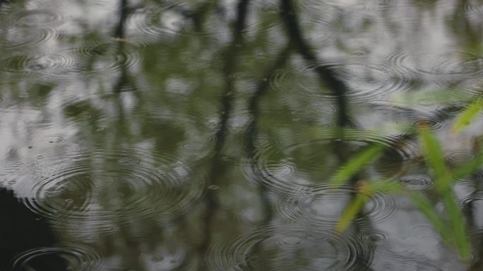 【正版素材】自然雨景水滴唯美水波纹