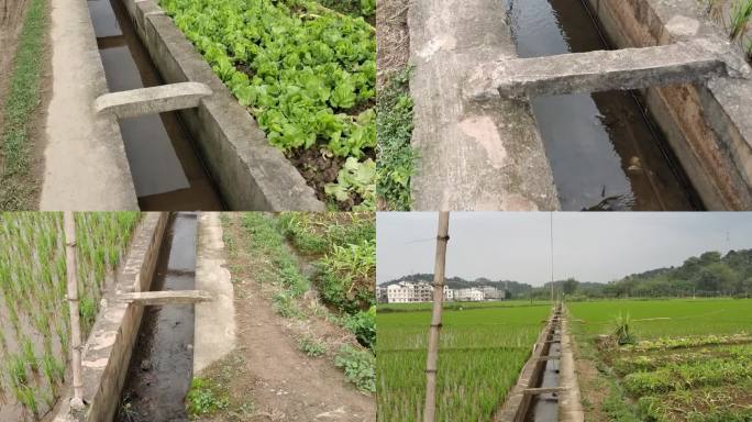 渠道水渠浇地灌溉油菜花水利打井渠道