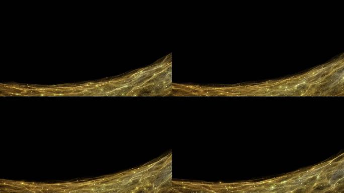 4K金色粒子边框-无缝循环带透明通道