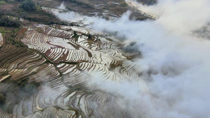 元阳哈尼梯田