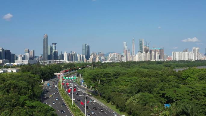 深圳 城市道路 绿色生态