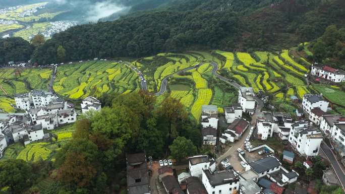 婺源江岭油菜花海梯田古村落田园风光航拍