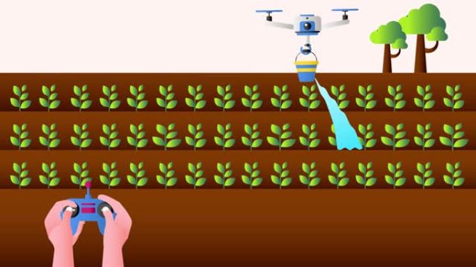 农民使用机器人无人机灌溉植物