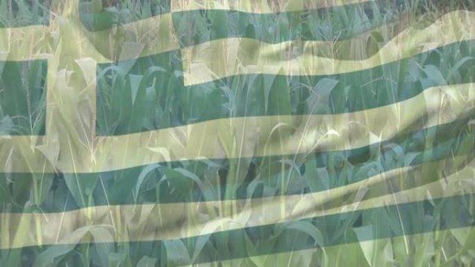 数字构图挥舞希腊国旗反对农作物在农田的特写