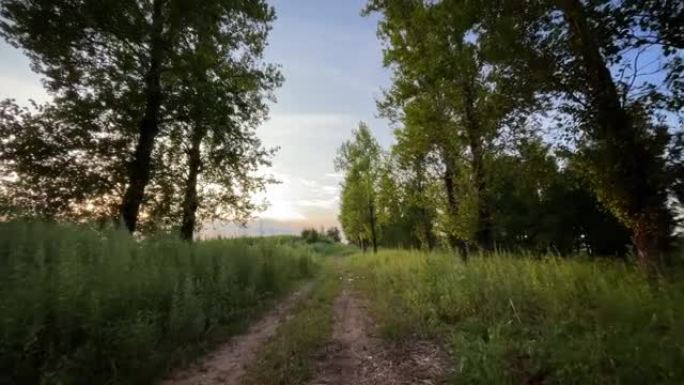 在乡村道路上行驶风景