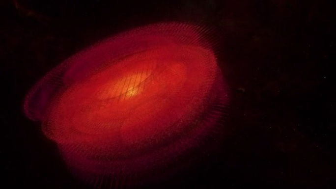 抽象发光的红色不明飞行物在夜空上旋转。4K 3D渲染艺术不明发光神秘飞行螺旋物体对抗太空中的黑暗天空