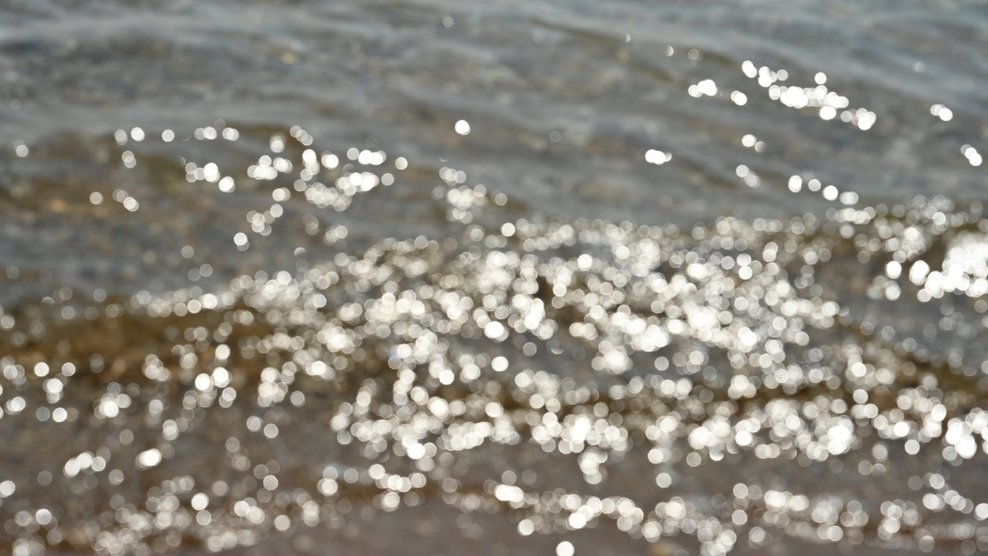 海浪与光斑与贝壳大光圈特写